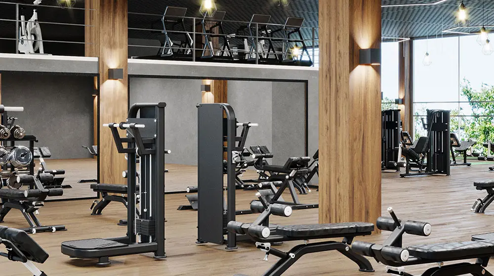 Gym & Fitness